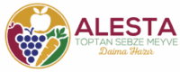 alesta logo.pdf (250 x 100 piksel) (1)